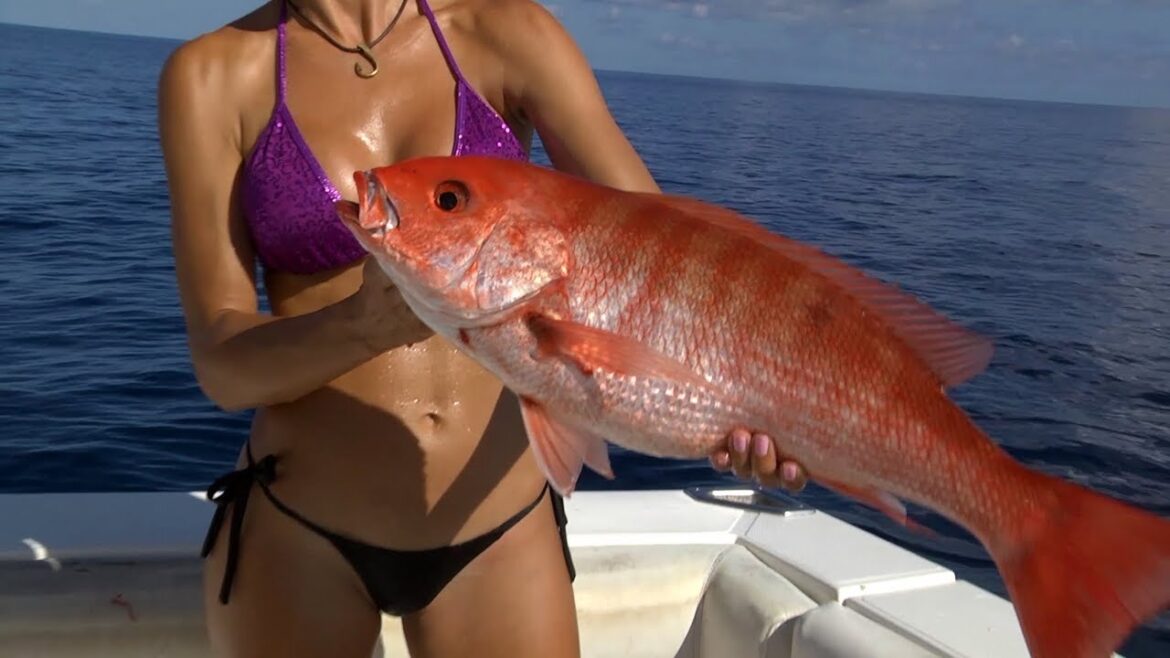 HOT Mexico Fishing Part 1