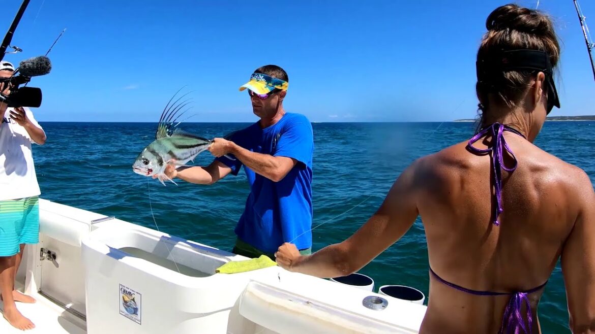 HOT Mexico Fishing Part 2